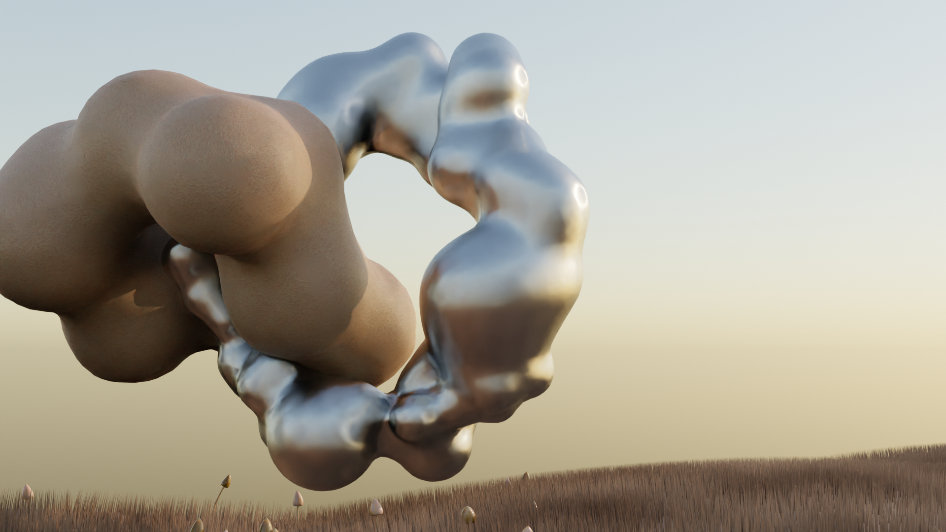 Fluid Bodies